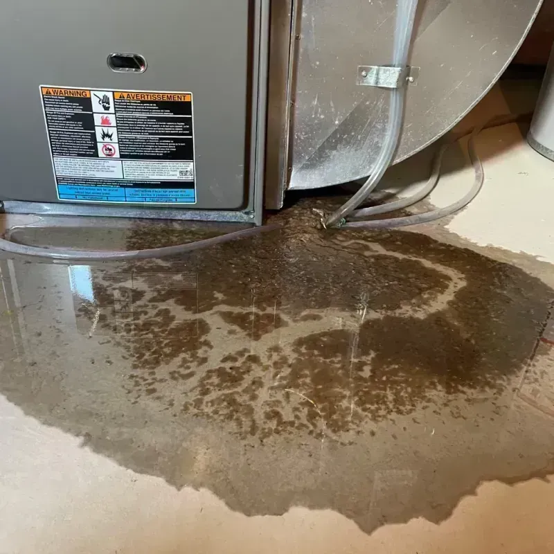 Appliance Leak Cleanup in Herculaneum, MO